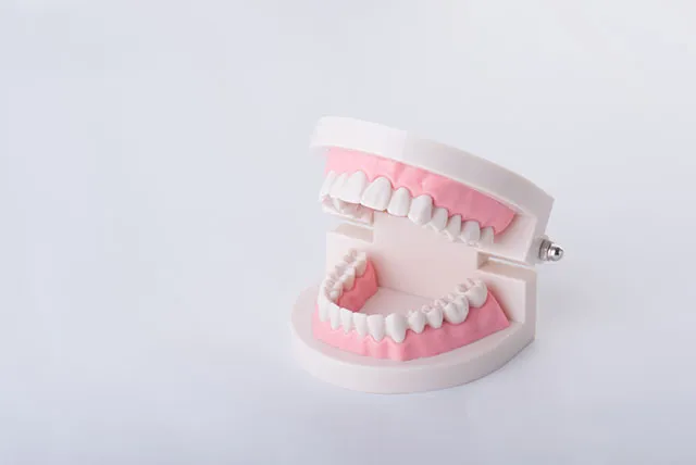入れ歯・義歯治療