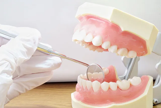 医師・スタッフ紹介